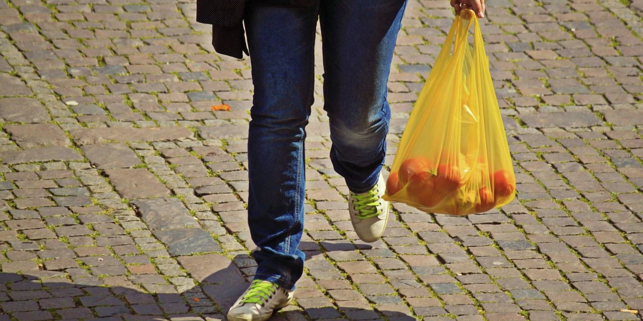 87% wollen vollständiges Verbot von Plastiktüten in Deutschland