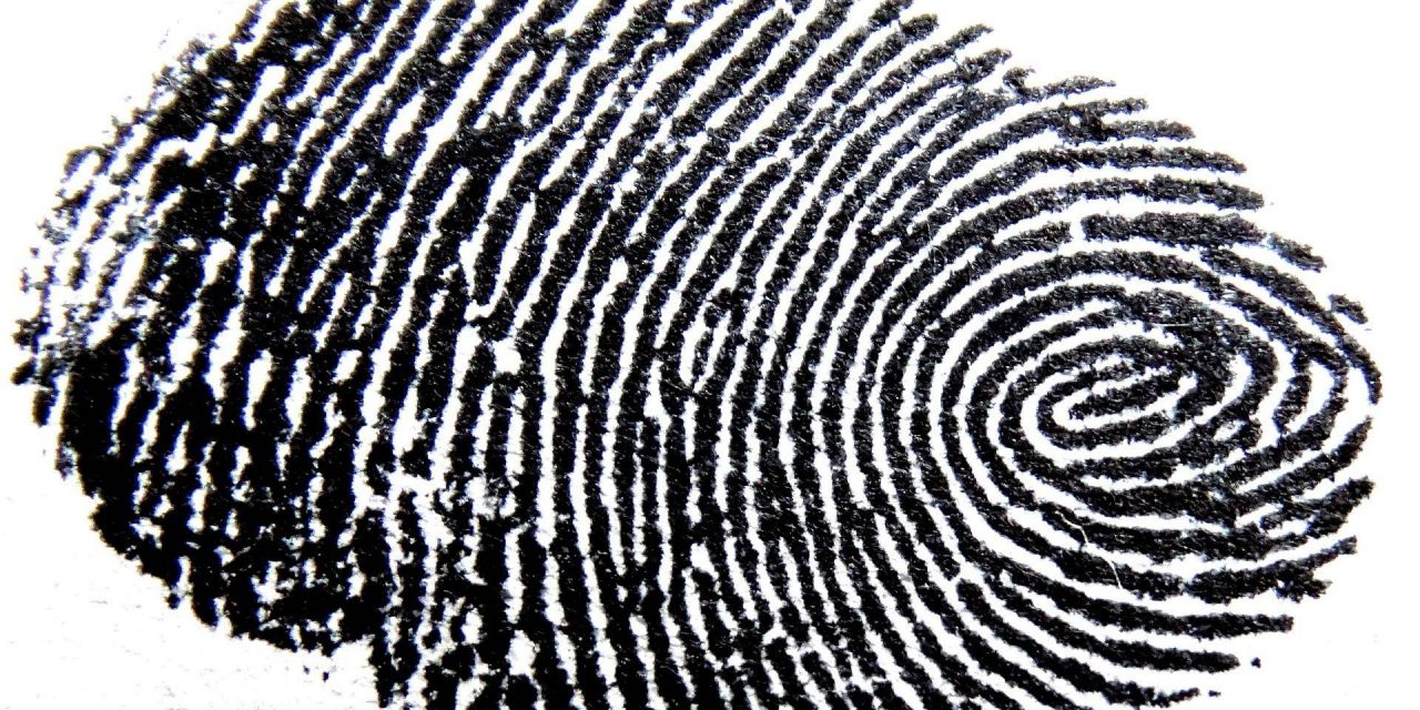 52% wollen Fingerabdrücke auf Personalausweisen speichern lassen