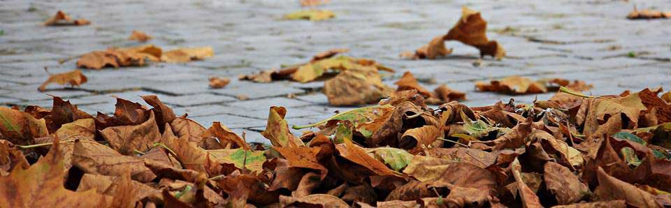 56% freuen sich auf den Herbst