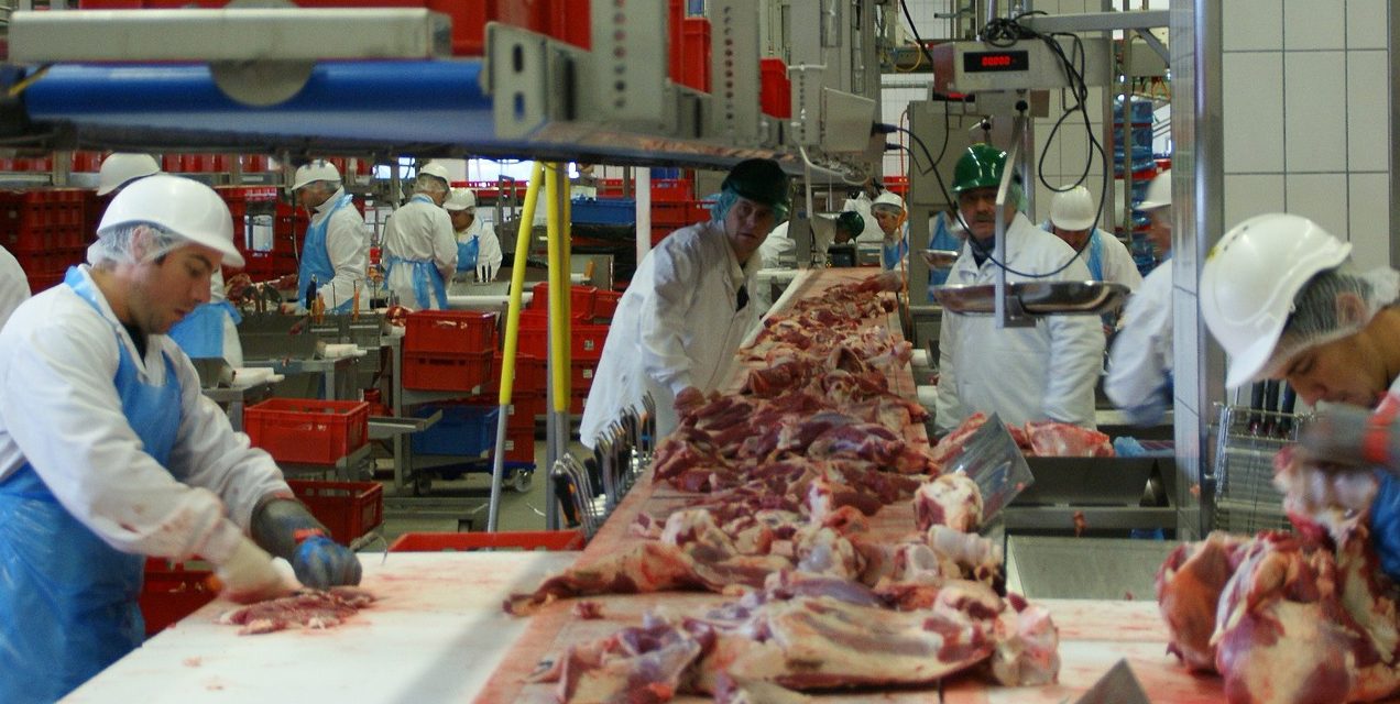 48% befürworten Mehrwertsteuersatz-Erhöhung für Fleisch und Wurst