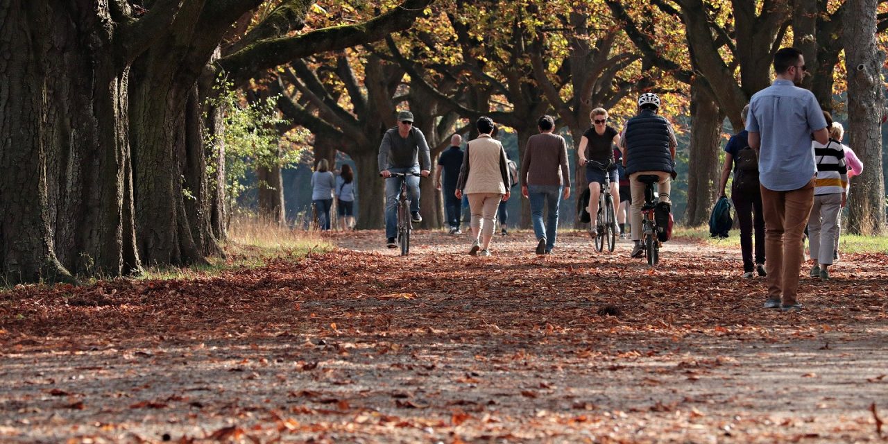 56% befürworten Kennzeichnungspflicht für Fahrradfahrer