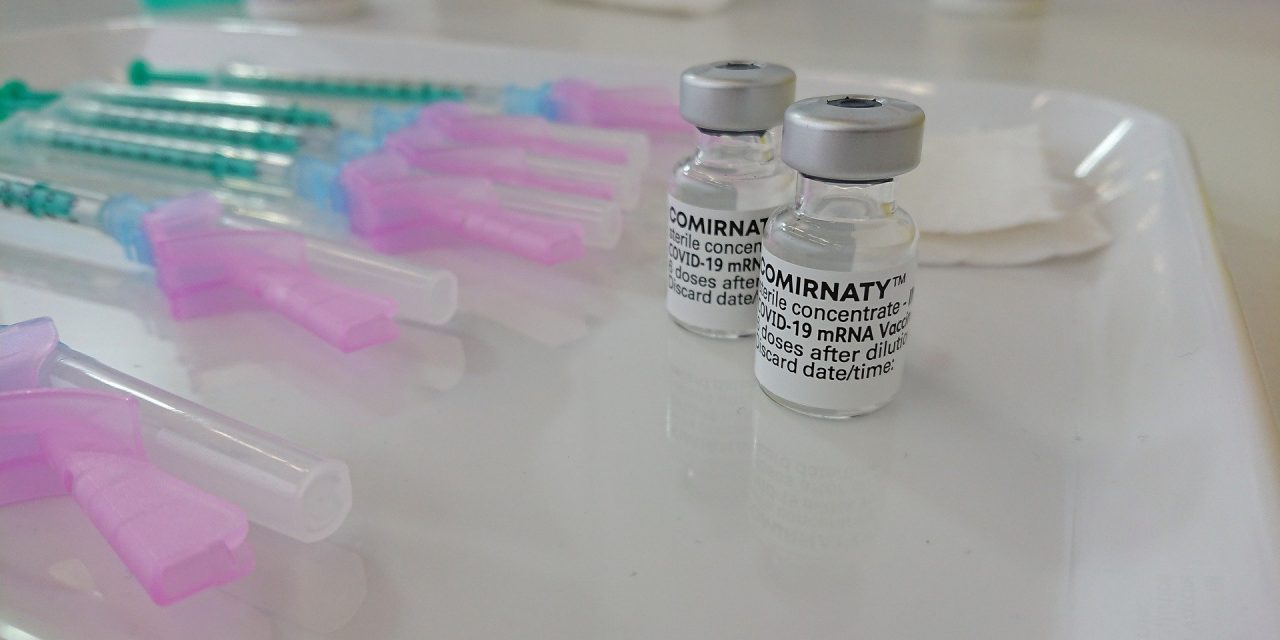56% befürworten Corona-Impfungen auch in Tierarztpraxen