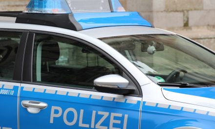 75% befürworten Bürgergeldstopp bei Personen mit offenem Haftbefehl